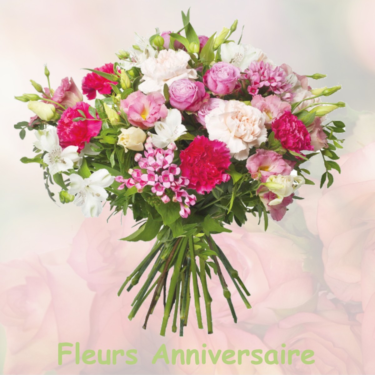 fleurs anniversaire COULOMMIERS-LA-TOUR